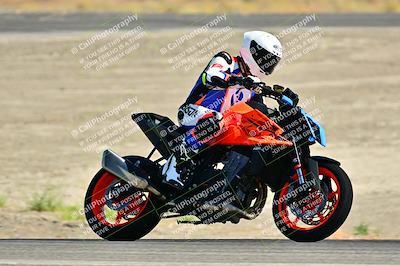 media/Sep-01-2024-Lets Ride (Sun) [[fd7c166674]]/C Group/Close Ups/